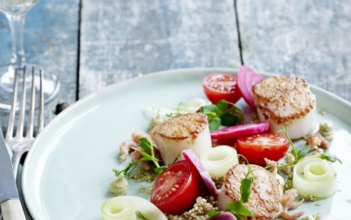 Gebakken sint-jakobsvruchten met quinoa en avocadocrème